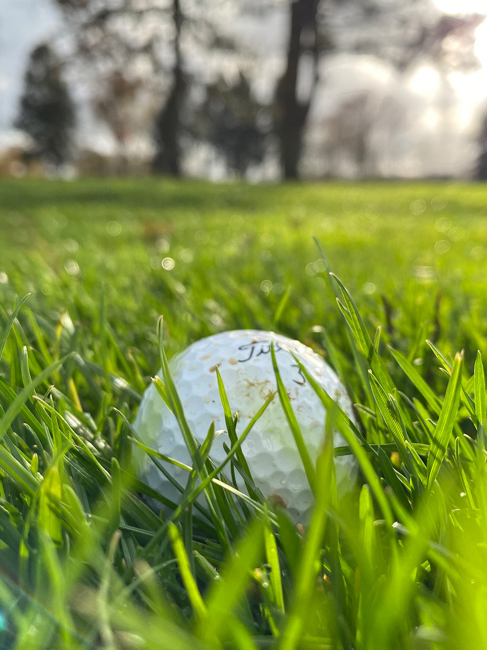 Golfball